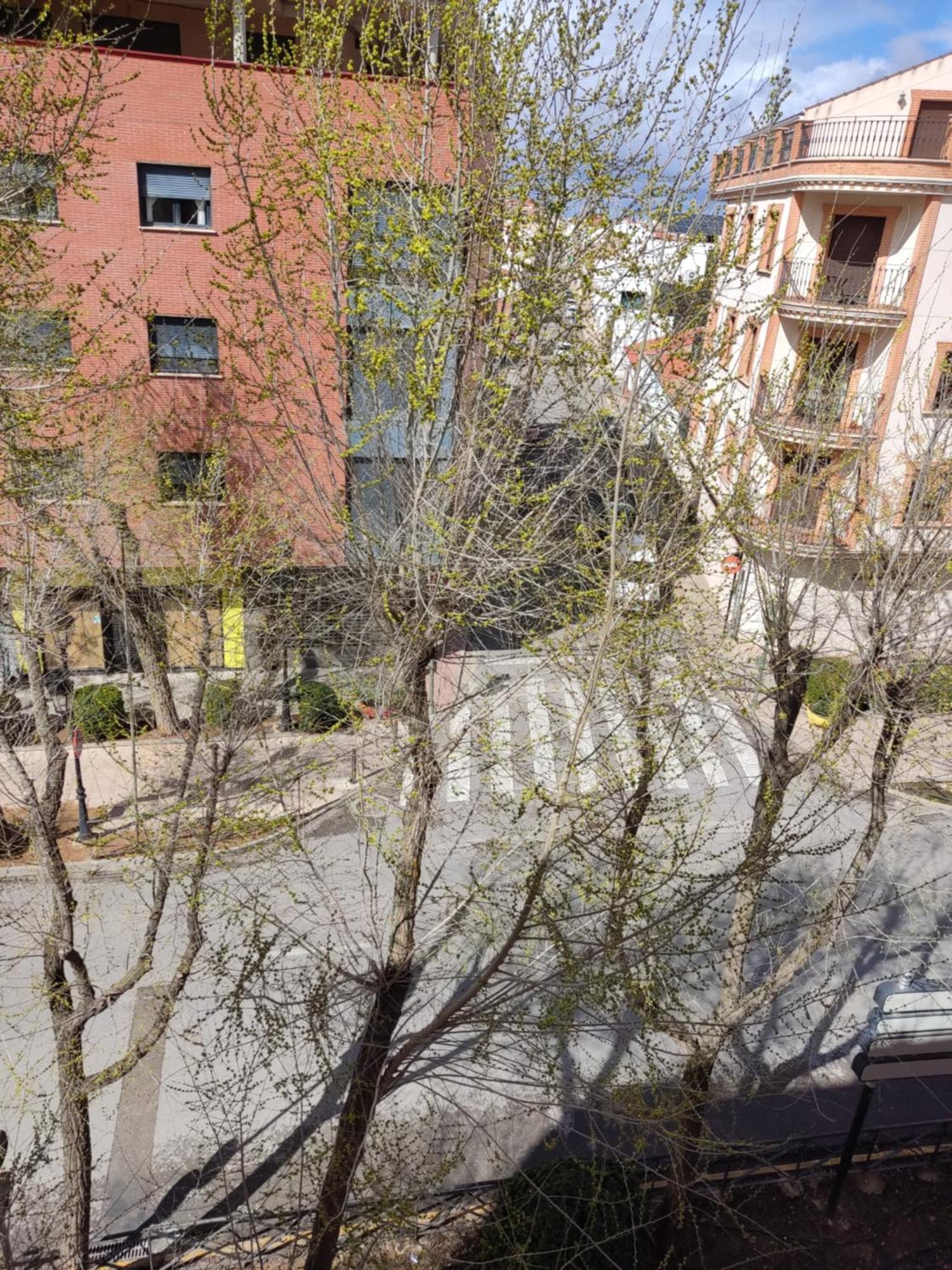 Luz De La Avenida Tomelloso